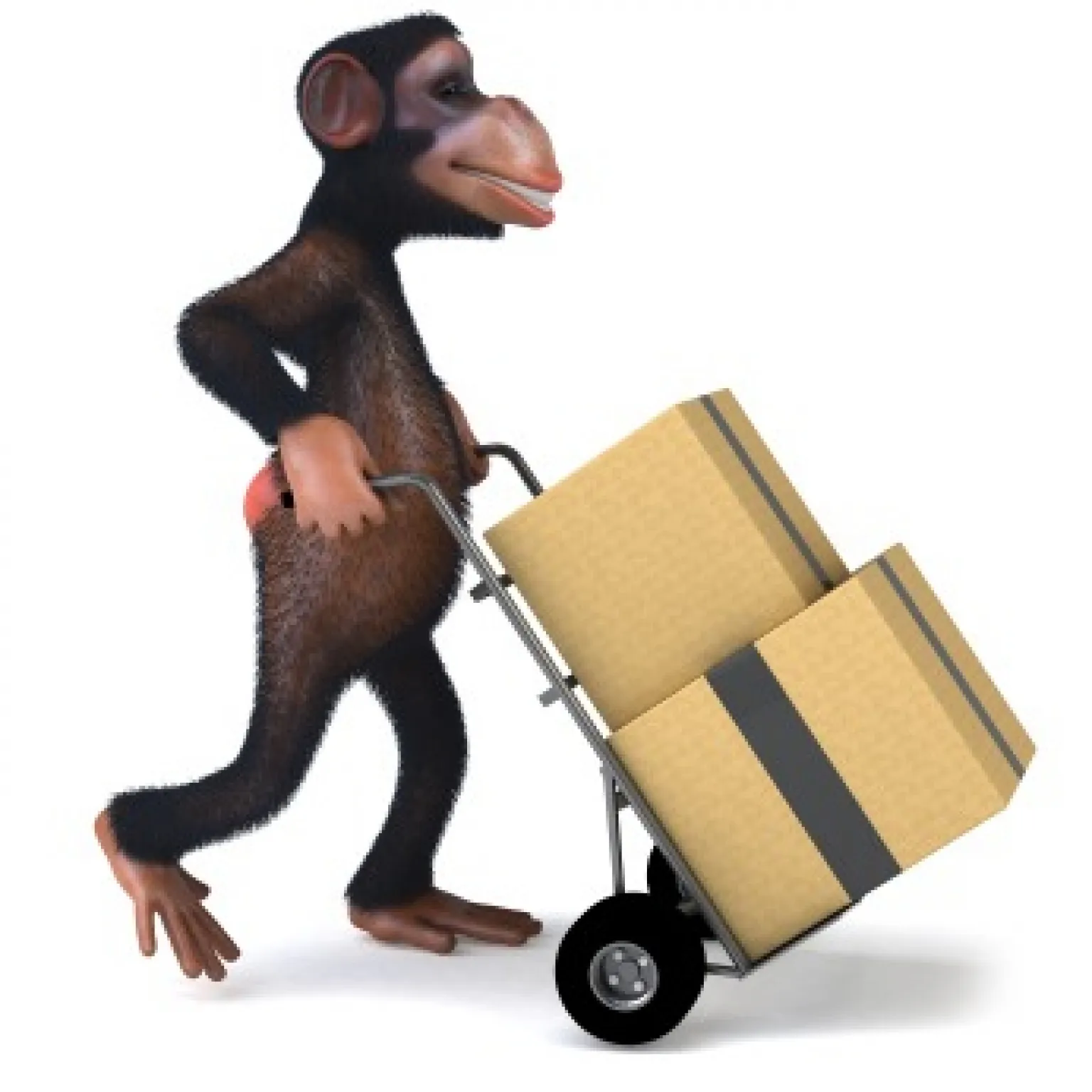 aboutusmonkey