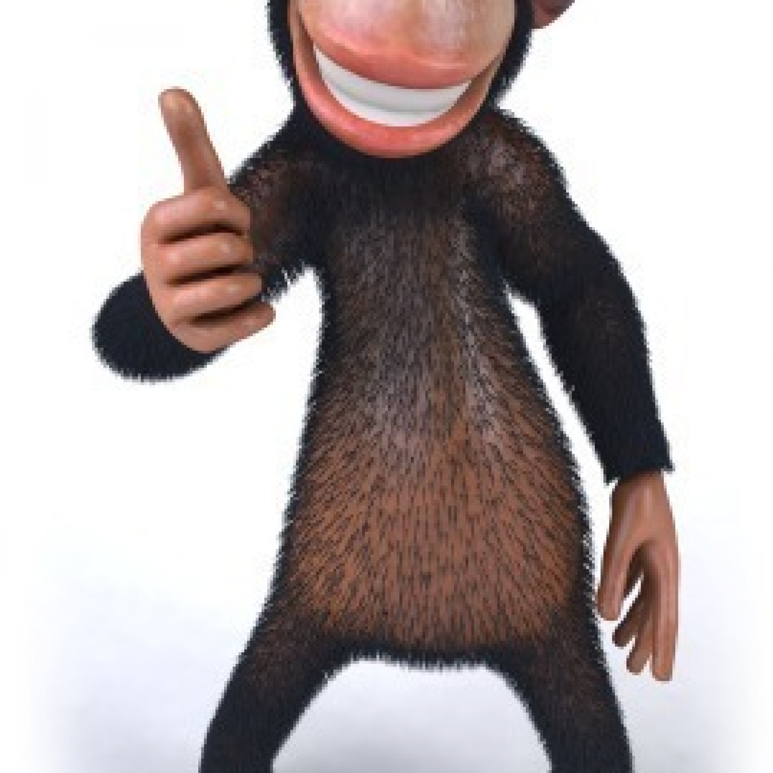 whychooseusmonkey