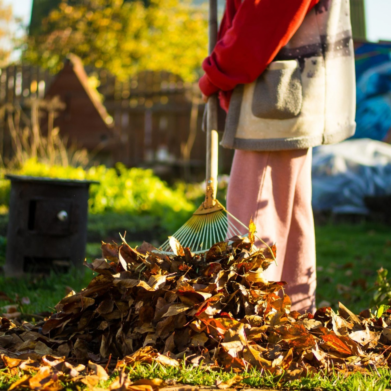 concept-cleaning-suburban-area-girl-collects-foliage-with-rake