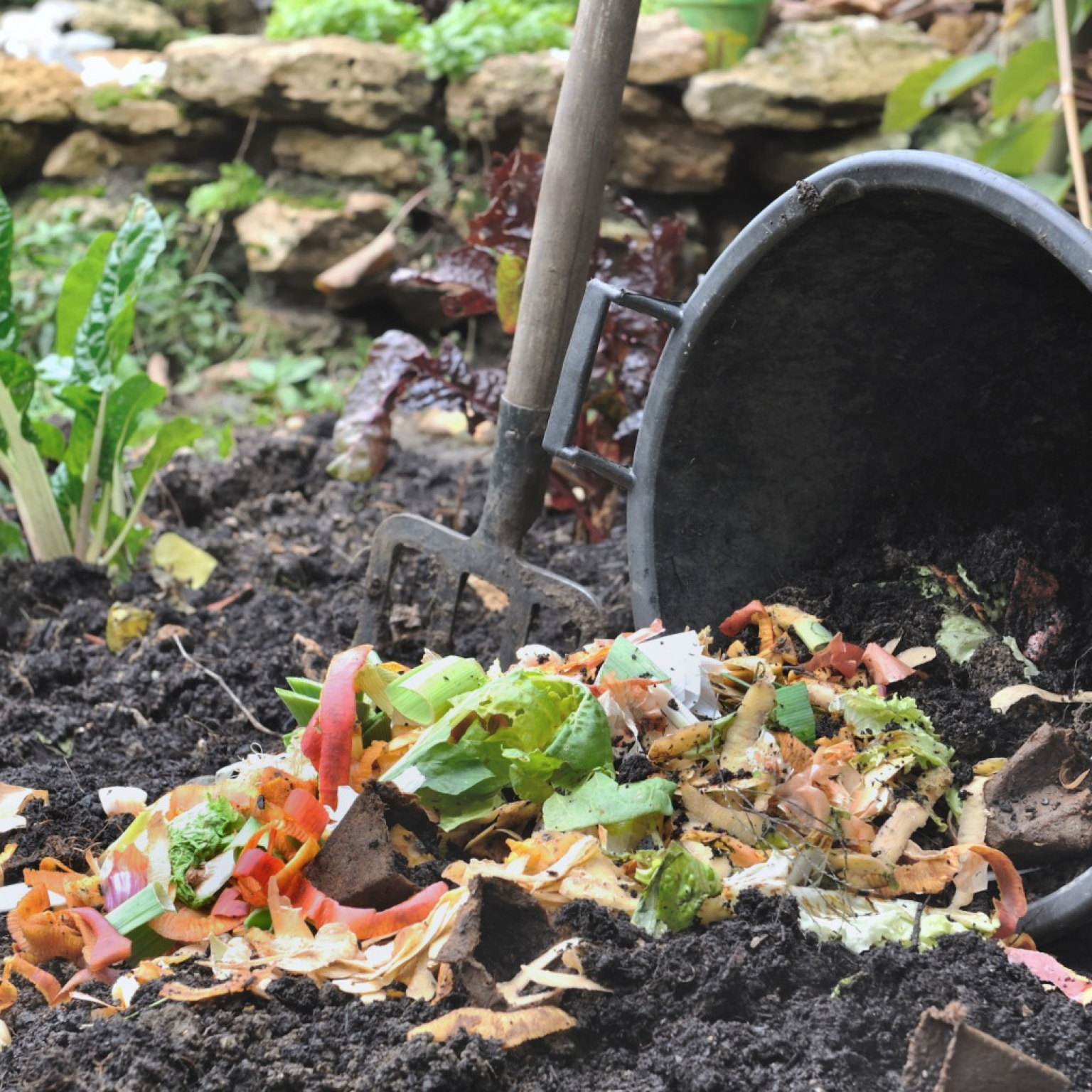 vegetable-peelings-compost