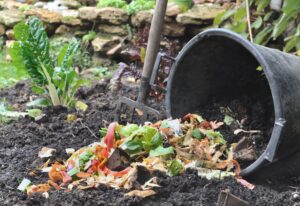 vegetable-peelings-compost