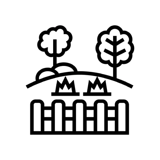 Yard Cleanup/Landscaping