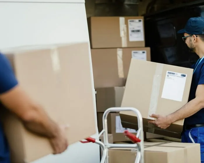 A view of Junk It workers hauling boxes - ready to assist with efficient garbage bin rental in Richmond Hill for your cleanup needs